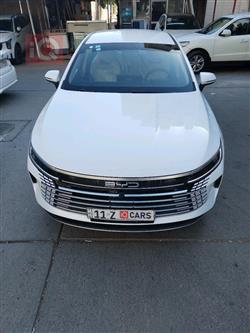 BYD Destroyer 05
